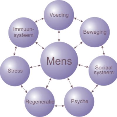 peersman, anje anje peersman